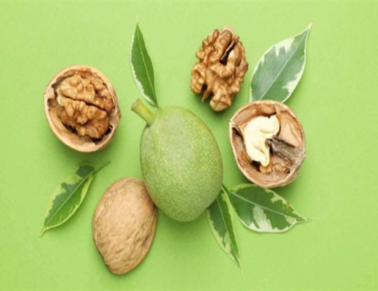 الجوز الأخضر: فوائد صحية وطريقة استخدامه في النظام الغذائي