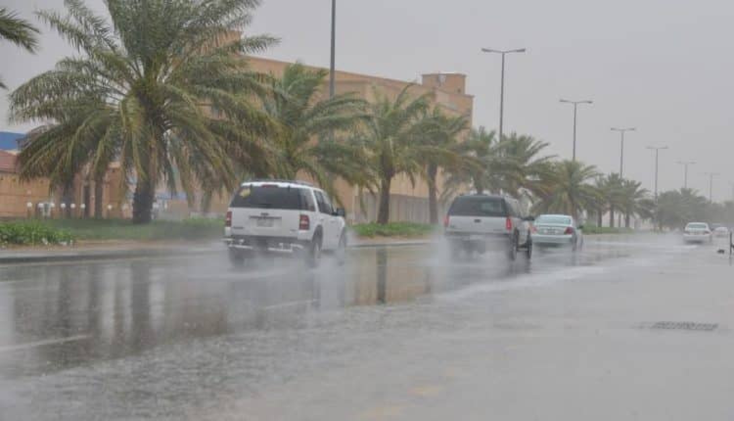 "الأرصاد" يحذّر من أمطار ورياح وصواعق رعدية على منطقة عسير