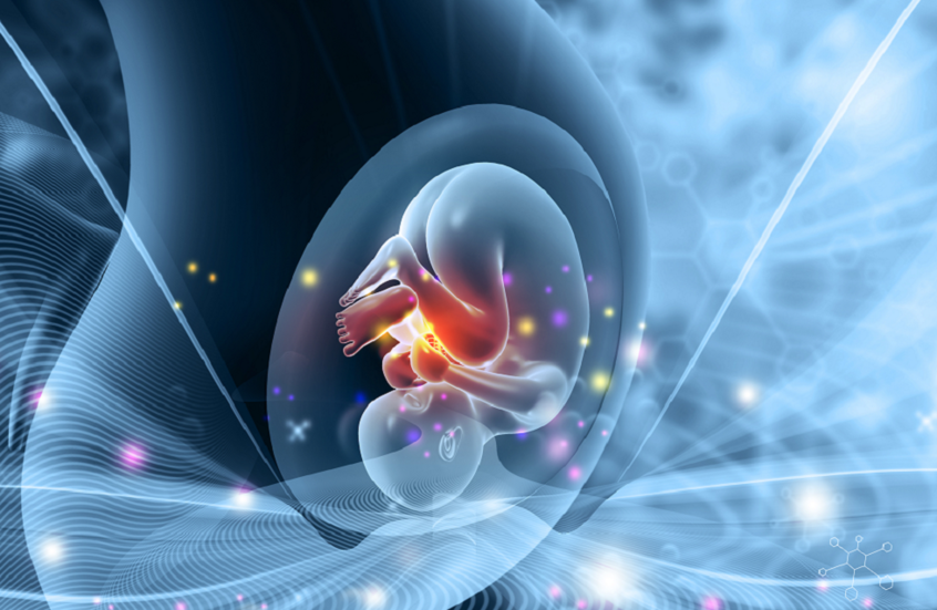 شركة صينية تطور أول "روبوت حمل بشري" يثير جدلا عالميا