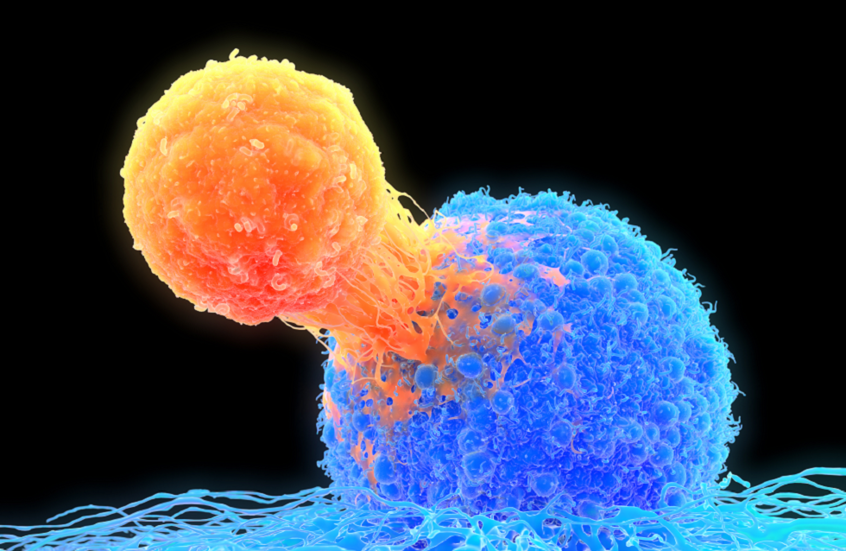 خبير روسي: أوبئة جديدة محتملة لكن البشرية قادرة على مقاومتها