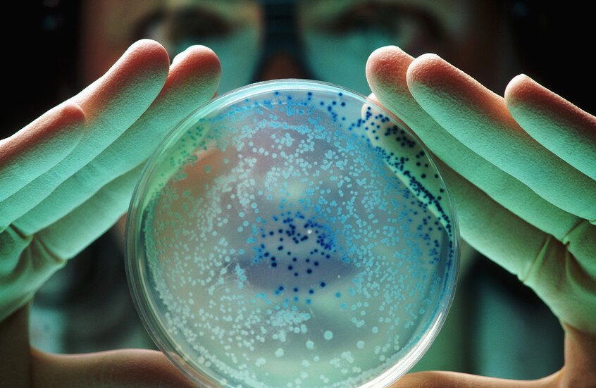 علماء يبتكرون بكتيريا تحمل شفرة وراثية غير مسبوقة.. ثورة في الهندسة الجينية