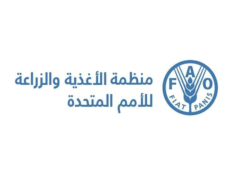 انخفاض قياسي