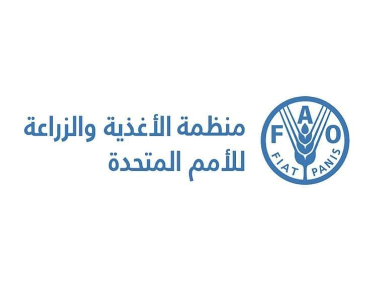 الفاو تكشف