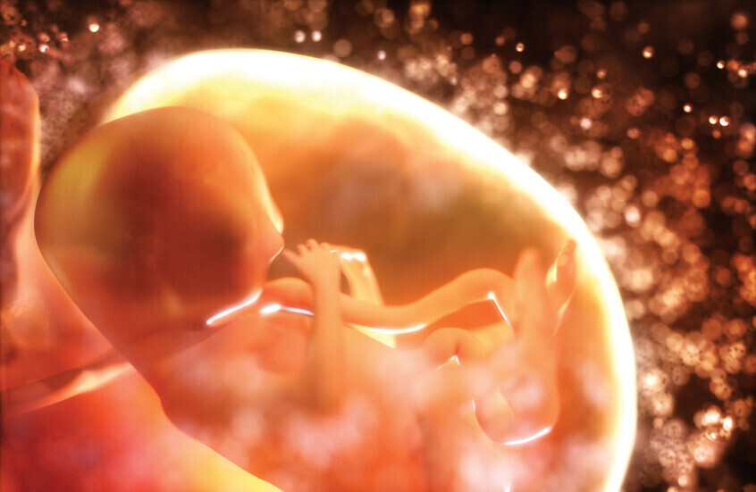 مفاجأة علمية.. ميكروبات الأمهات تبني أدمغة الأطفال داخل الرحم