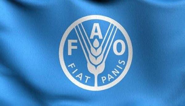 فاو تحذر من كارثة غذائية وزراعية في غزة بعد تدمير أكثر من 80% من الأراضي