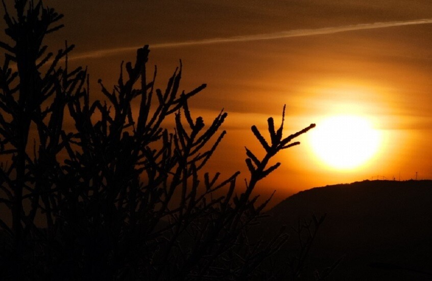 مركز نشط جديد على الشمس.. توهجات شمسية متوقعة تؤثر على الأرض خلال أيام