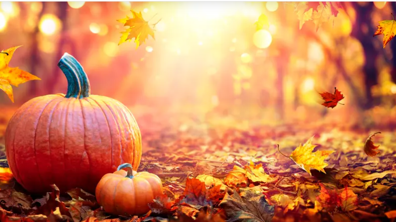 اليقطين.. سرّ صحي لا يقتصر على فطائر العيد!