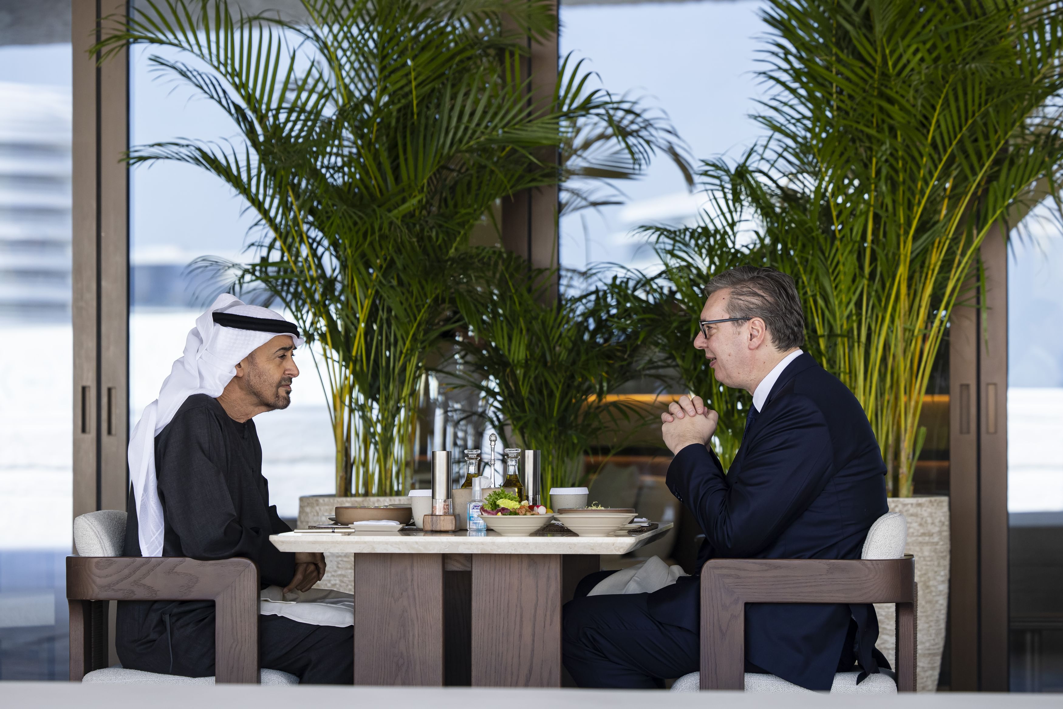 محمد بن زايد ورئيس صربيا يستعرضان آفاق الشراكة الاستراتيجية والتعاون التنموي