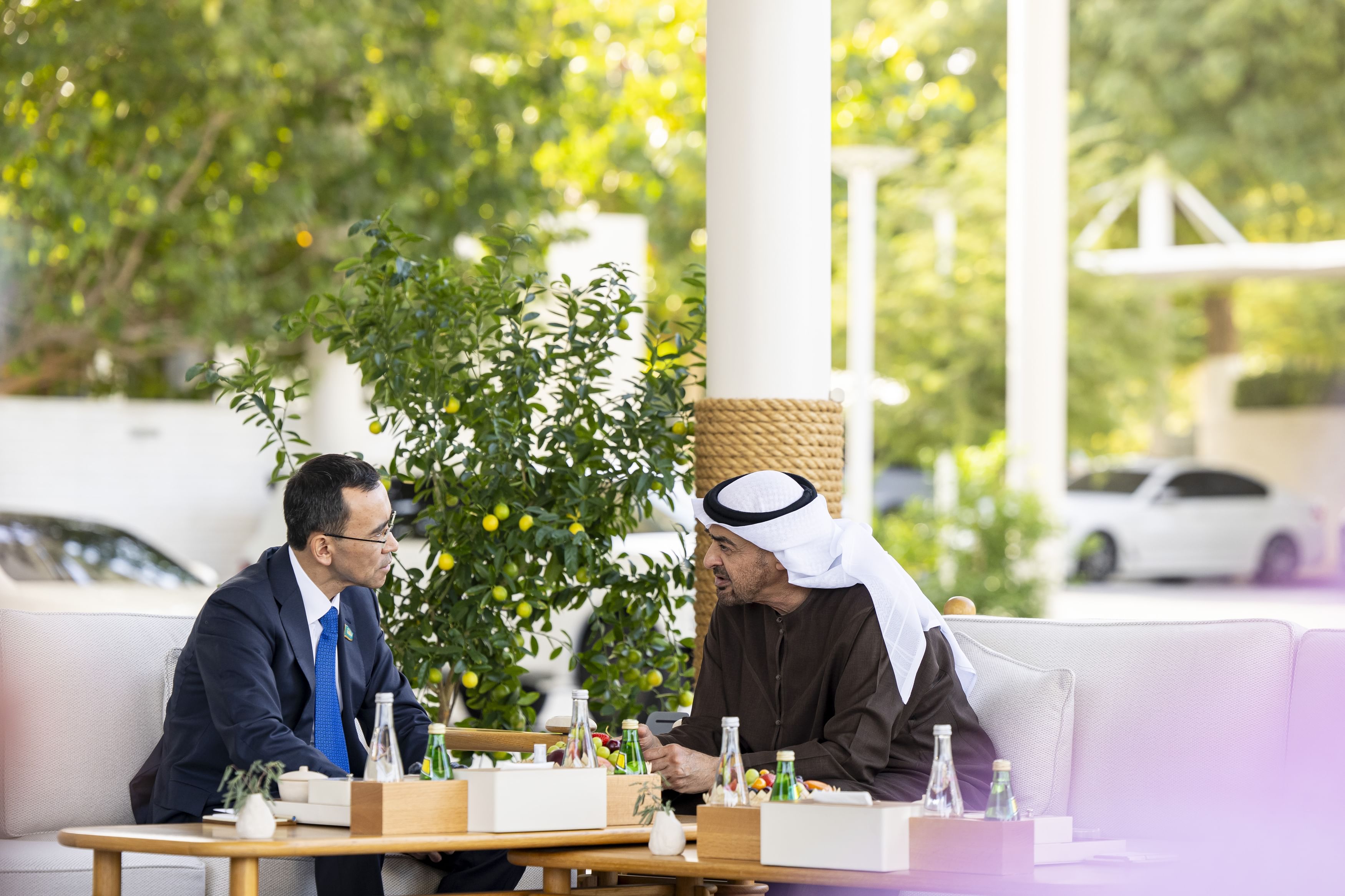 رئيس الدولة يستقبل رئيس مجلس الشيوخ في كازاخستان