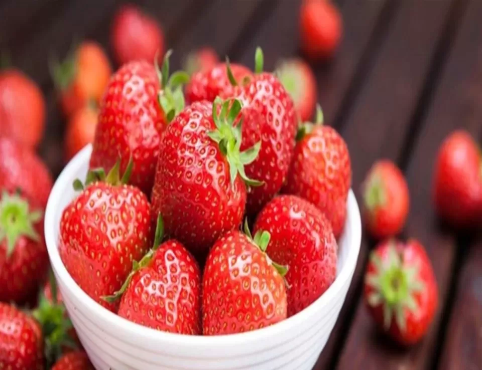 أفضل الطرق لتخزين التوت والفراولة والحفاظ على نضارتها
