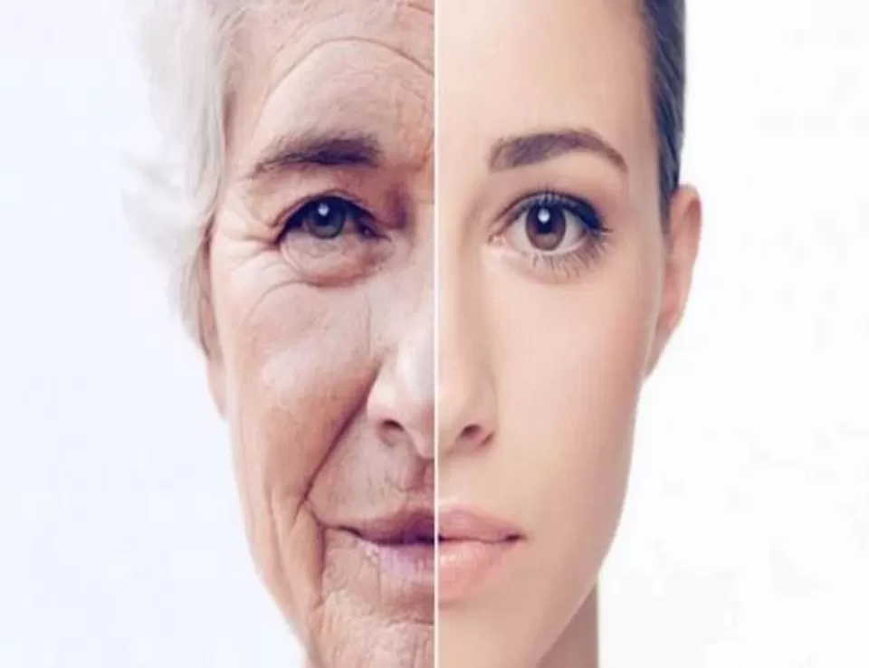 دراسة جديدة: الشيخوخة تحدث في موجتين رئيسيتين