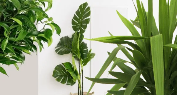 خبراء يحذرون