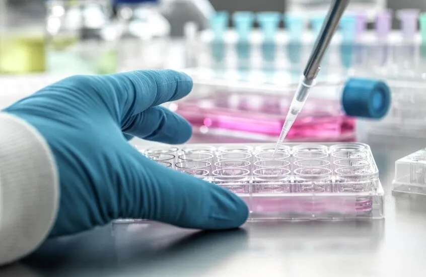 العلماء الروس يحرزون تقدما في ابتكار أدوية مضادة للسرطان العلماء الروس يحرزون تقدما في ابتكار أدوية مضادة للسرطان