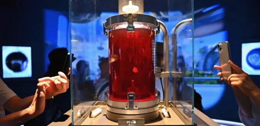 قلب نابض من خلايا المريض.. الطب يقترب من ثورة في زراعة الأعضاء قلب نابض من خلايا المريض.. الطب يقترب من ثورة في زراعة الأعضاء