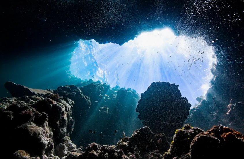 اكتشاف إسفنج مفترس جديد في أعماق المحيط الجنوبي يهدد فرائس صغيرة بطريقة فريدة