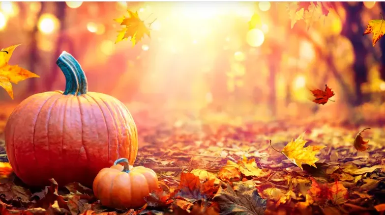 اليقطين.. سرّ صحي لا يقتصر على فطائر العيد!