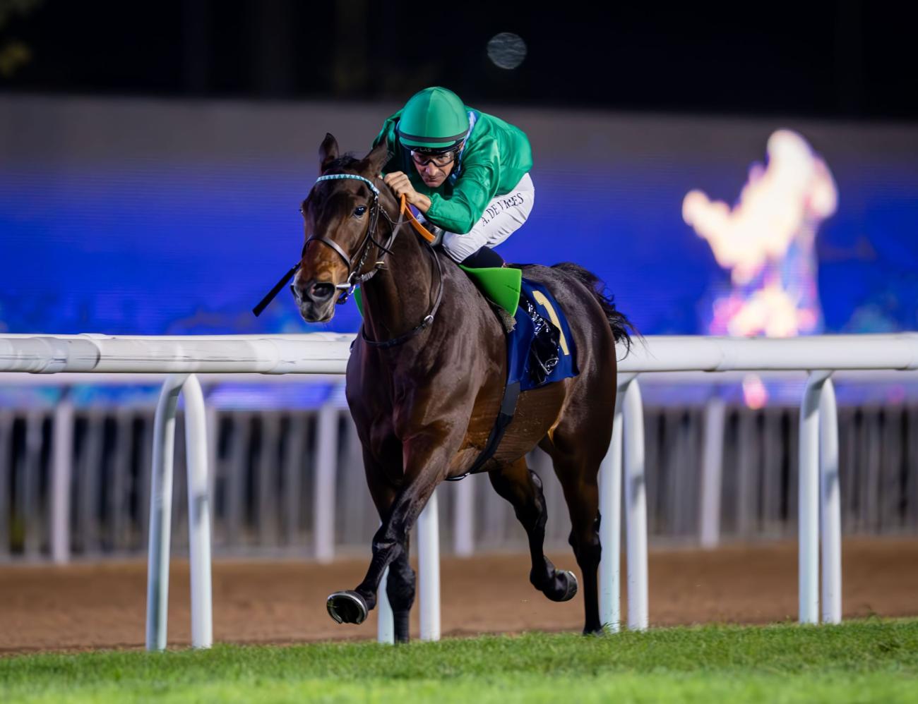 مضمار أبوظبي يفتح أبوابه لنسخة جديدة من كأس رئيس الدولة للخيول العربية الأصيلة