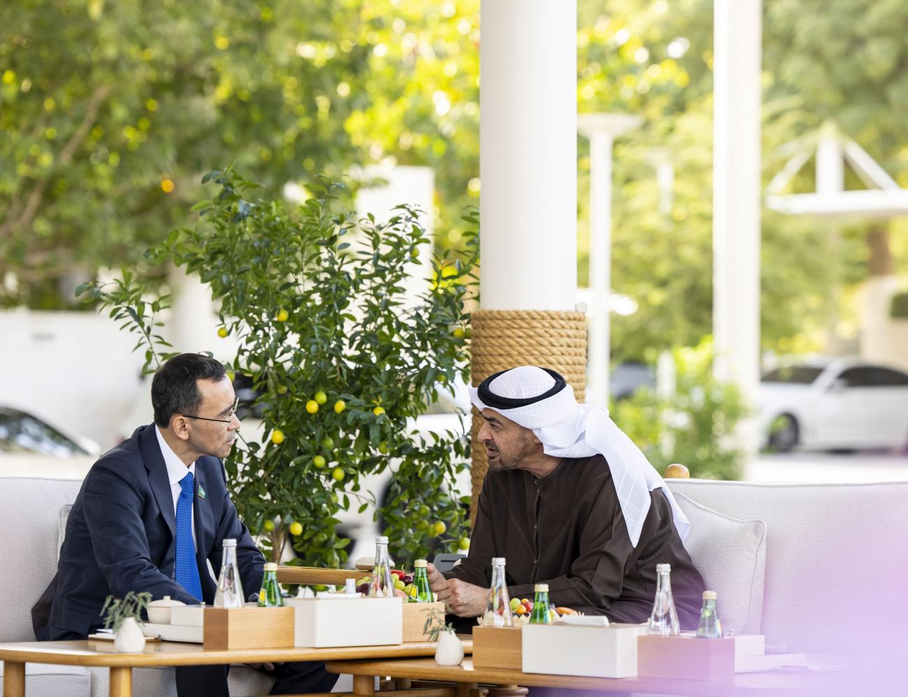 رئيس الدولة يستقبل رئيس مجلس الشيوخ في كازاخستان